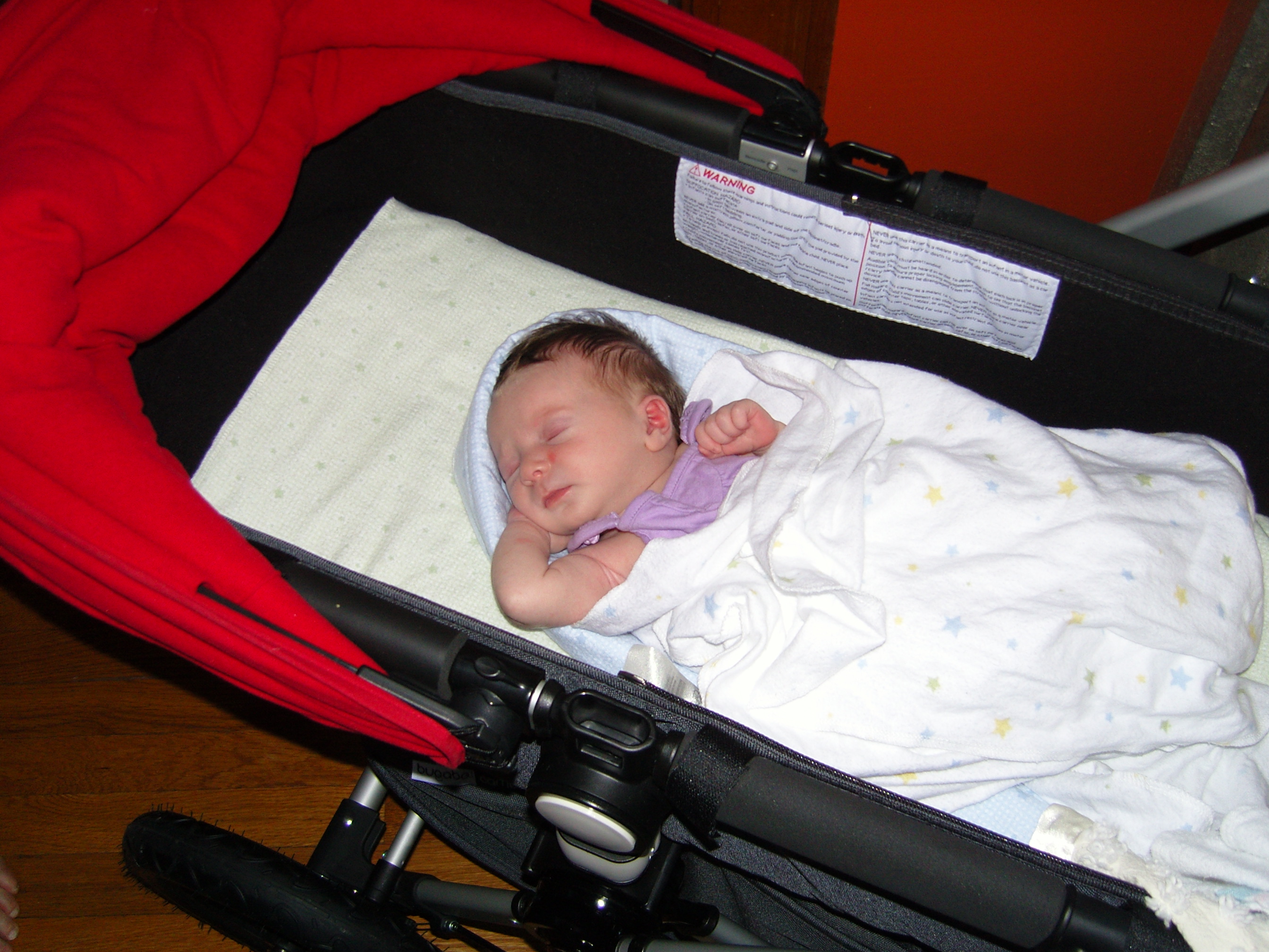 bugaboo cameleon 2006